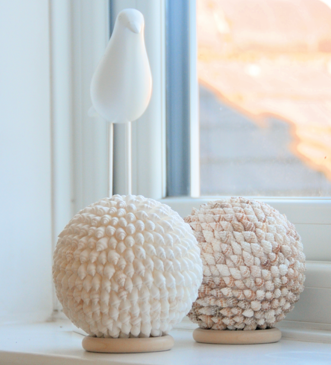 Decorative Shell Balls Ajora.co